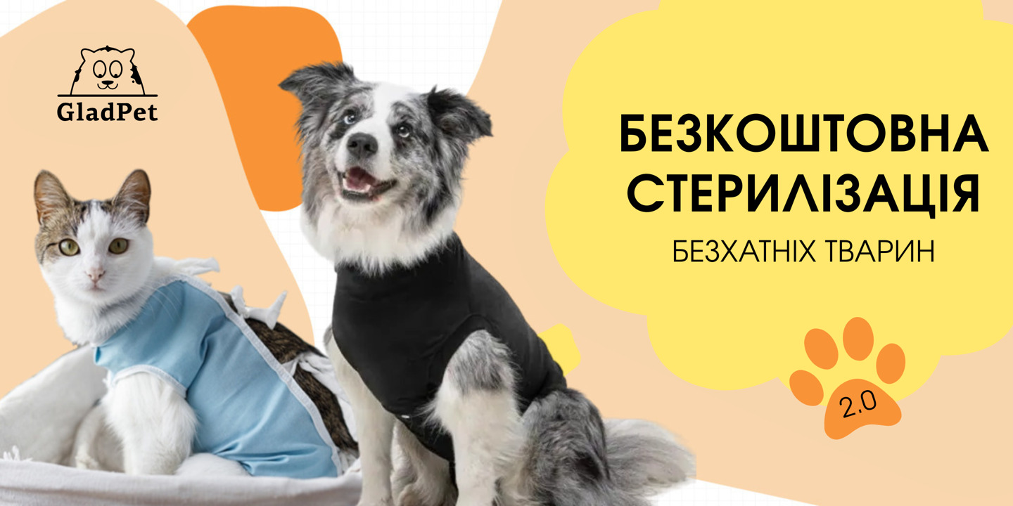 Безкоштовна стерилізація безхатніх тварин 2.0