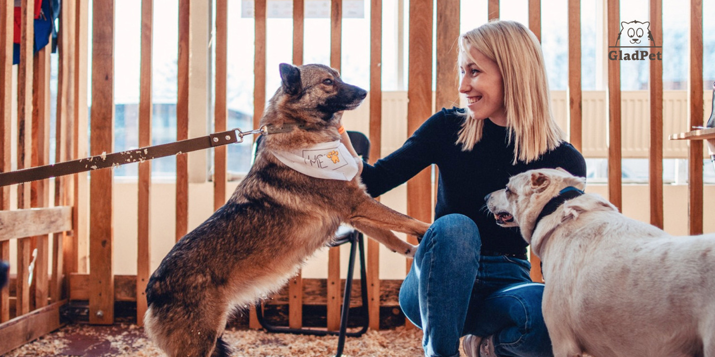 Hold the line! Help for four-legged ones 2.0 Hold the line! Help for four-legged ones 2.0