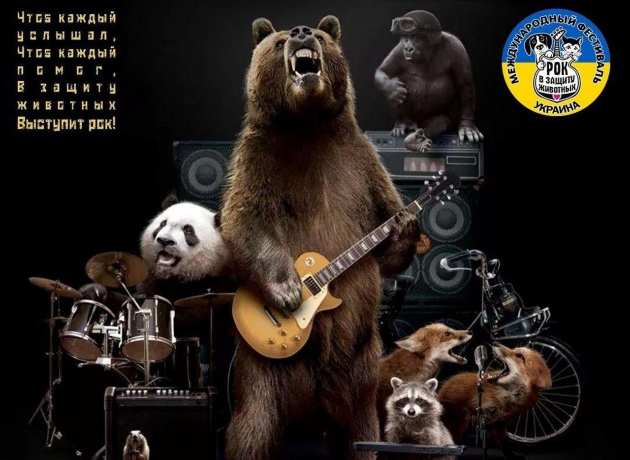 15aIjlvCwdlqyU62lmylEYh0m4QZYqkh.jpg?_=1583232917