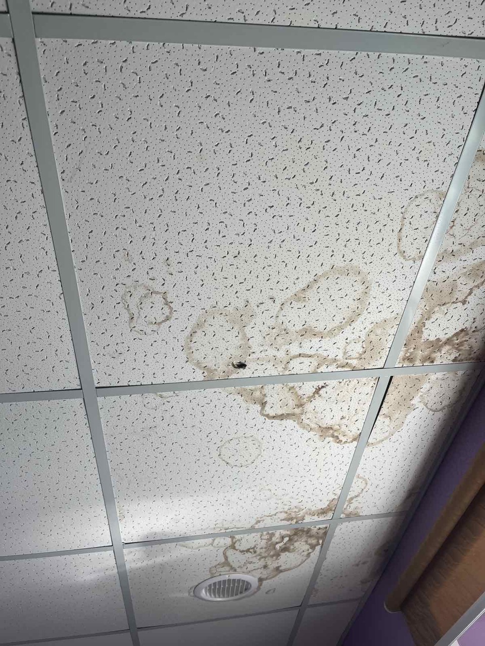 1AQIf3tWyaj0DWx0lN0LZJ0sujt5BSzK.jpg?_=1692690962