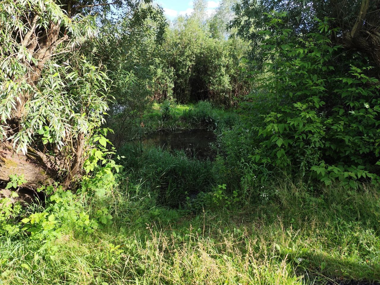 1N5Mpq24gqbbzXK9p01QRd3BCEnuuu8u.jpg?_=1752756774