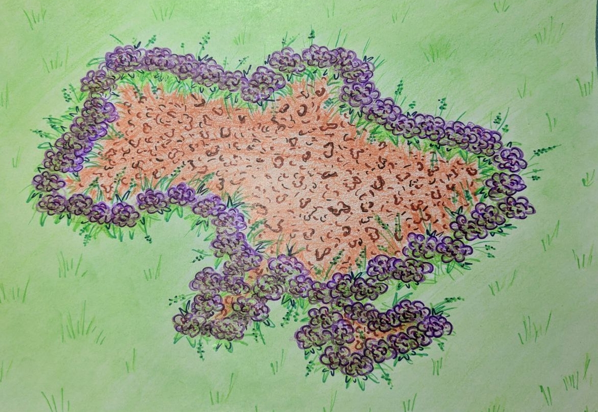 20RQ6K8op5fir0y9NIWBUOQVx8FeOCmo.jpg?_=1756107350