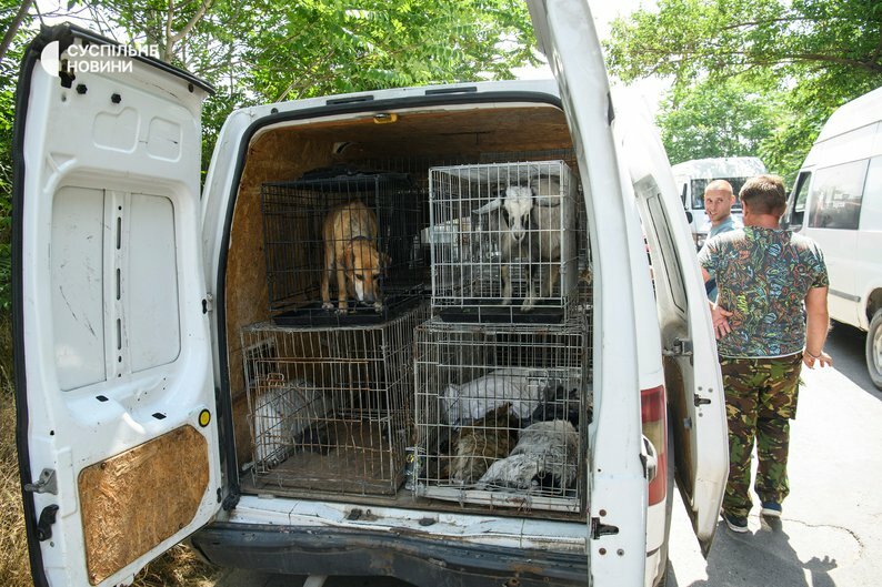 2RphV2mw0WqJleDbTiY0DtkQyuRPXjmA.jpg?_=1686252181