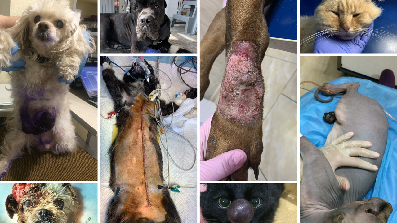 3P49GOseR9U4ZFd40nZb60xoXobEas0P.jpg?_=1686652109