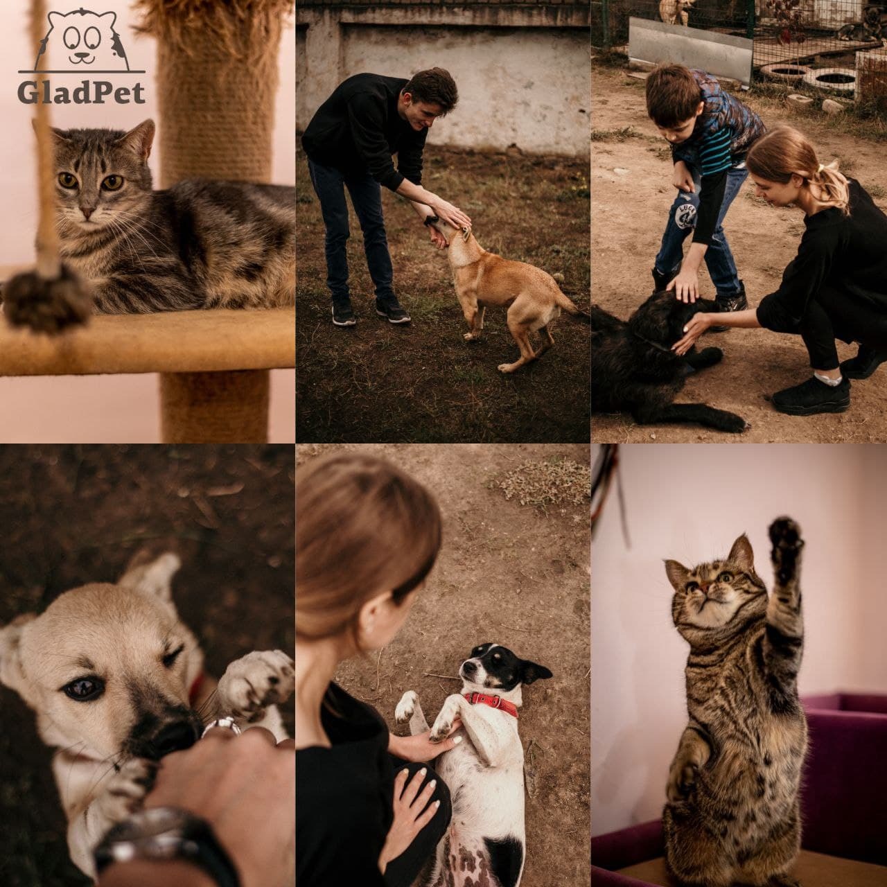 8sMD30K0Ztqt0f0F23PYonwyf0kRMQ0N.jpg?_=1635862165