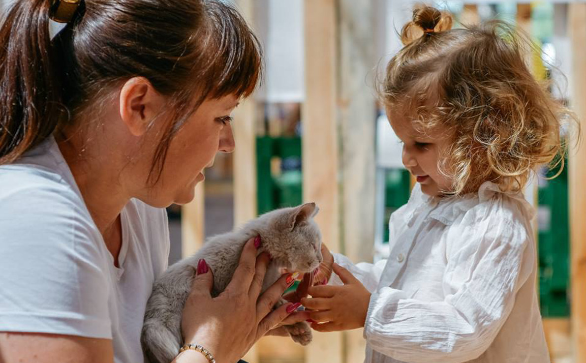 9SG5AUJIlWhhoQ7eKxru20ZT4JYBSN17.jpg?_=1630047235