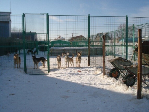 CaQFrT0Q0F6i7uAsVyUi0IKyToOCCBQr.jpg?_=1704748205