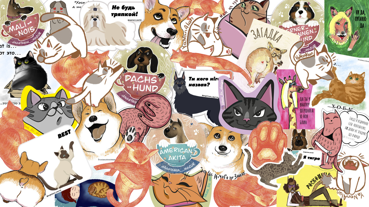 D3iNQ1emMNvWU8KqCBkGDvjR7Y80Y9LH.jpg?_=1632031502