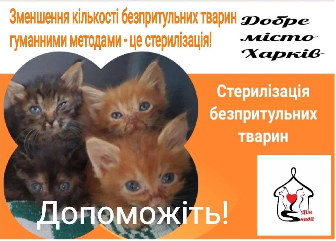 HYjcKsKdAUP9jsyT0gKuY9bGYt2Kk839.jpg?_=1643815016