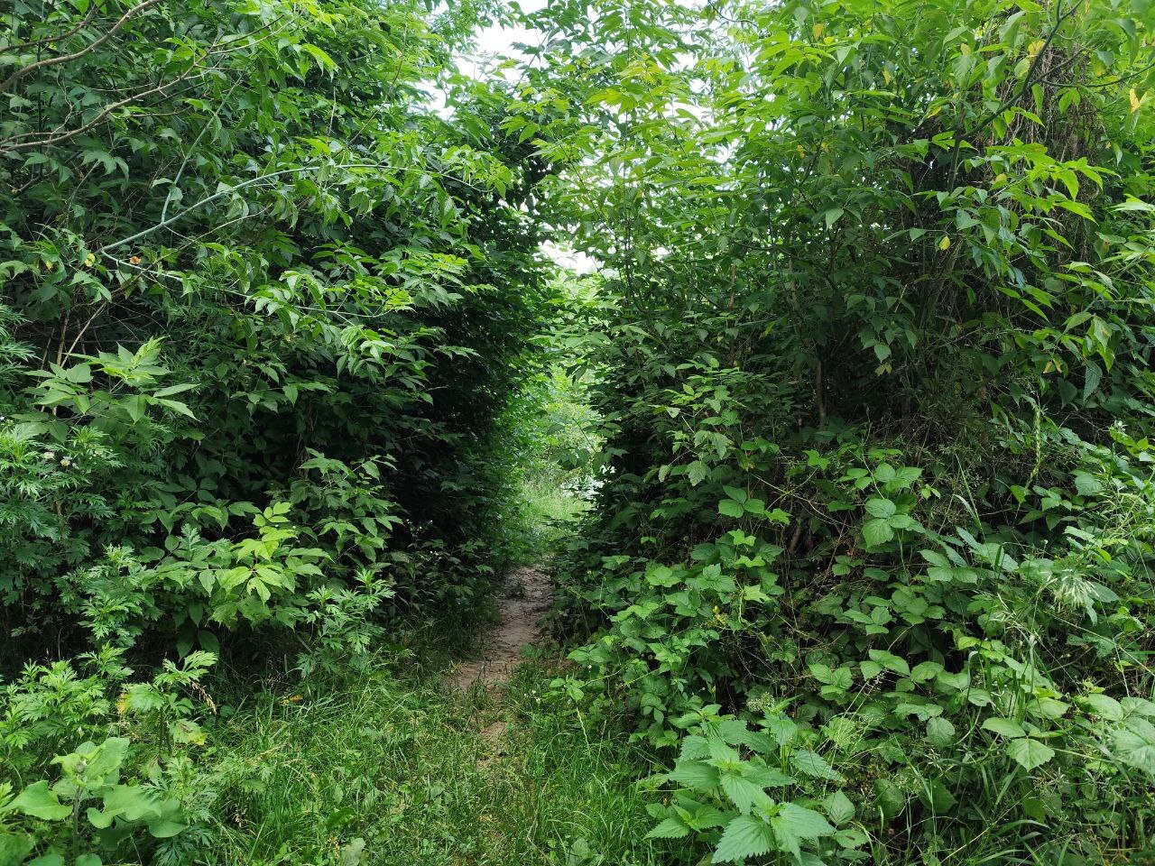 HgKj0lsVCmfyK0E0Qg20cCsQH28pB9kV.jpg?_=1752756763