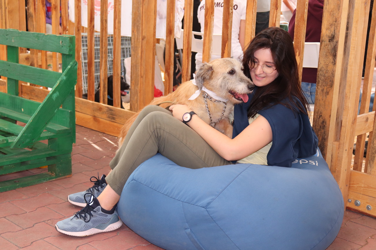 IROlNTYhzg559OvremOA8Hj0pR0zeXPs.jpg?_=1