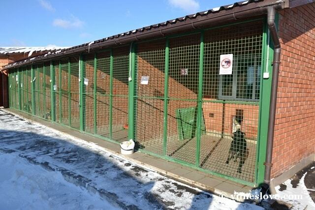 J30kg9M4OtBODyF9GWWm20kuKdd31L2l.jpg?_=1704748178