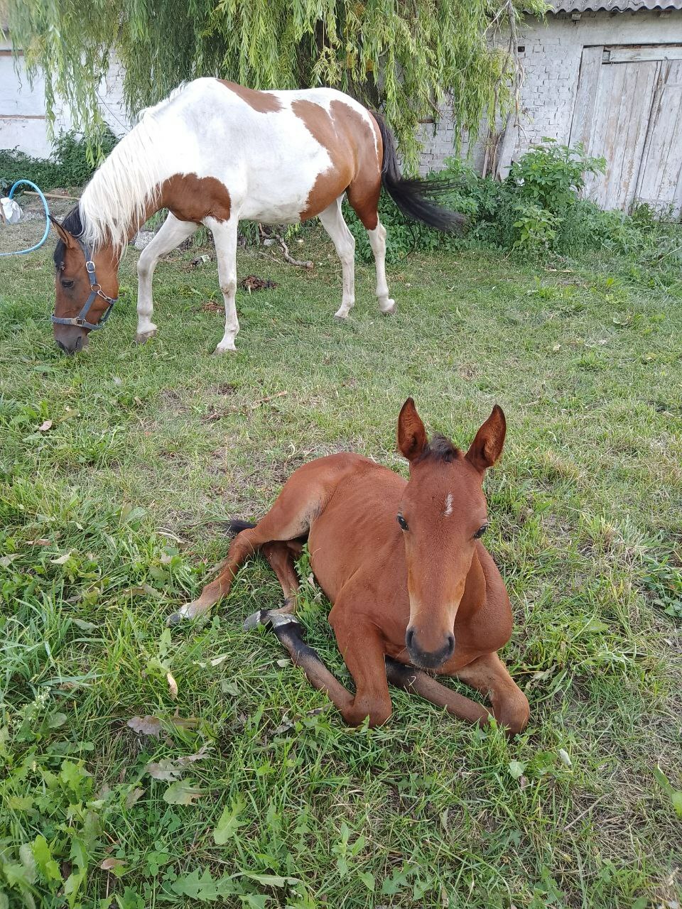 JRS0On0Qtpd9KRreLd1YwfrkJMr00pQi.jpg?_=1718045829