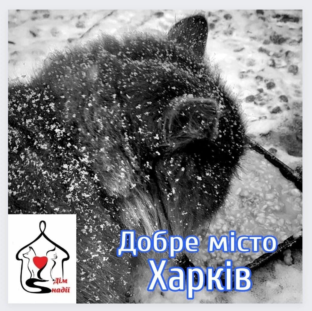 Kkpu0J2Io4qM7o5LZhsabQH20XdAjurD.jpg?_=1643721296