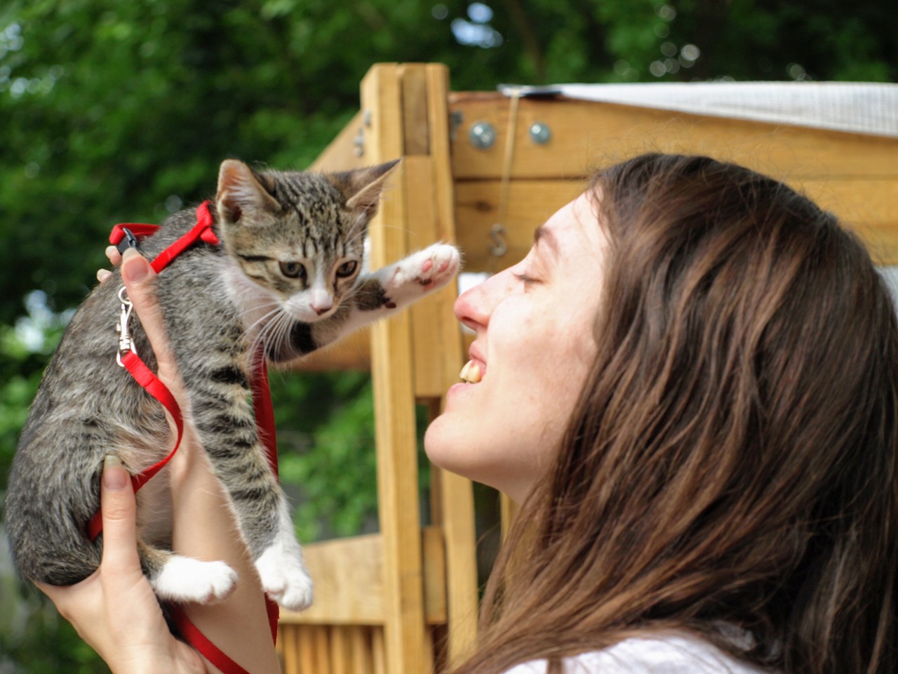 Lg0EC3EZBxB09ZiIjAUNzdmBpWo60OGt.jpg?_=1