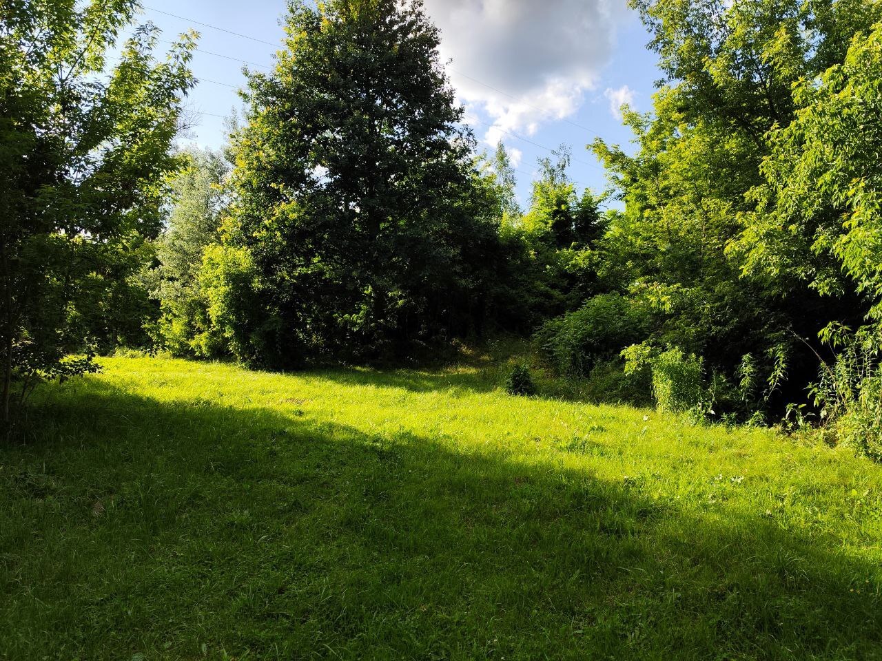 P2swUHBEHbRPHjb4HIdNlXlBTGNO5tqq.jpg?_=1752756752