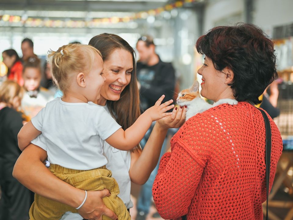 QTERhC5nqeI9DGp3SAZYYNBJMZhWFcDy.jpg?_=1