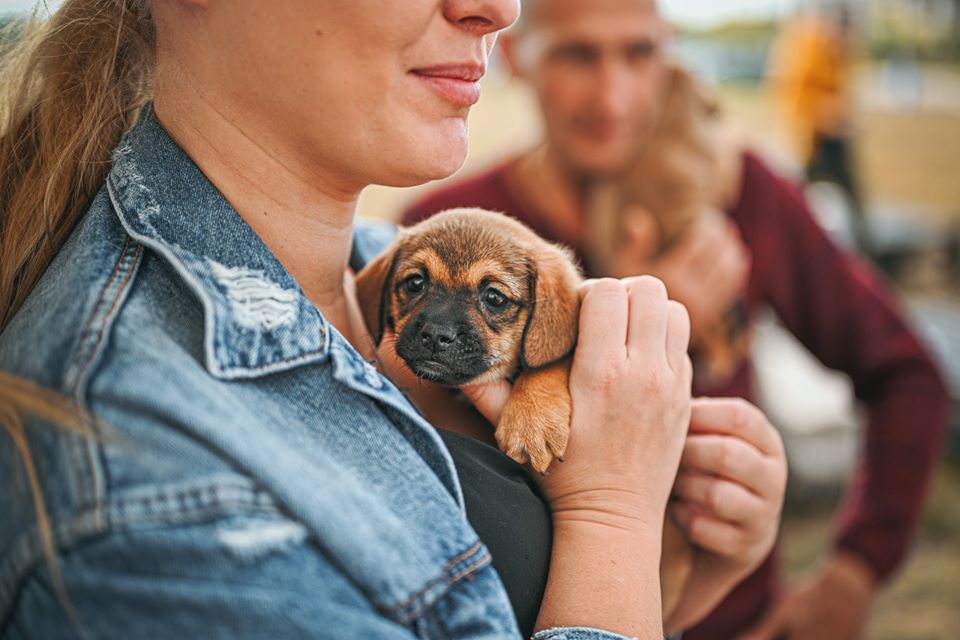 Qv0i0NAXI2WSueMEWu6yTfc70SpScaAh.jpg?_=1