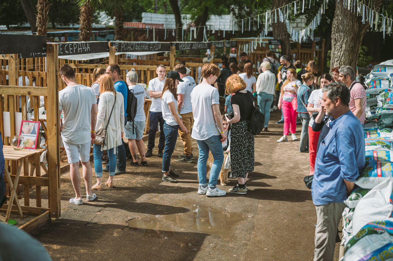 ROh0oS8wmrZz007ZC1Lbp1N93l0nKu90.jpg?_=1