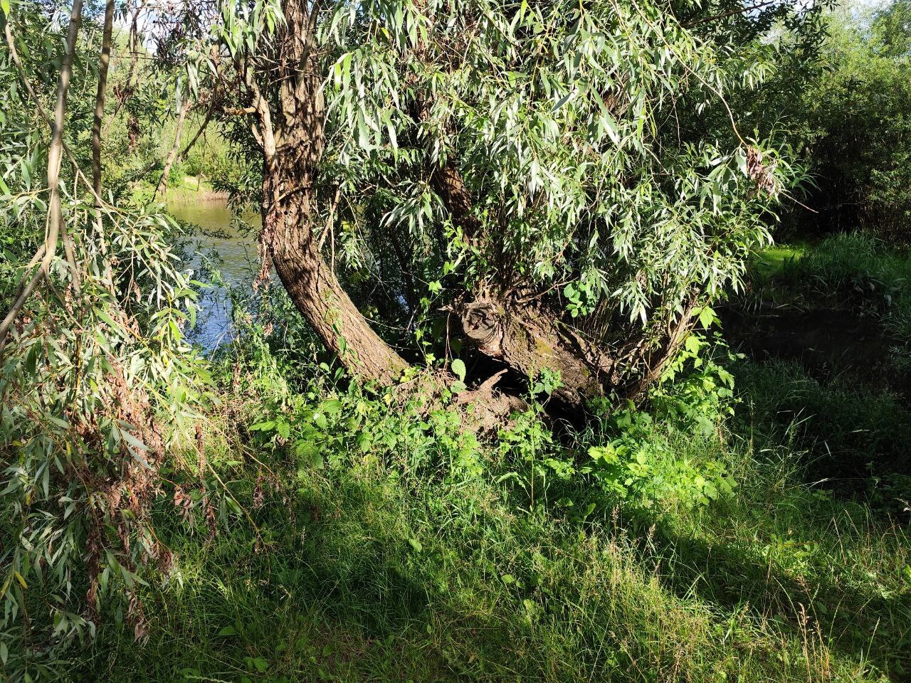 S3Xprf3BofdblWs8b0xF54mKVUKcooT5.jpg?_=1752756777