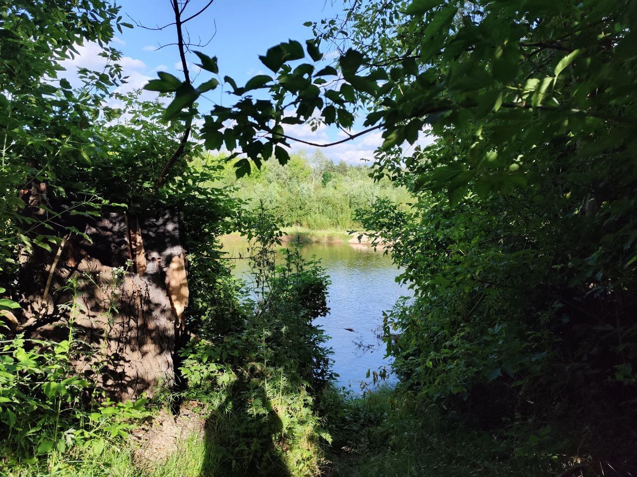 SSSEZt7mllbwBv4QQ7LwUzsLd06mKqFY.jpg?_=1752756746