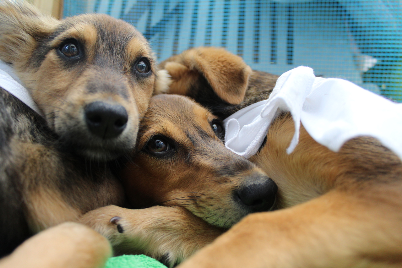 UgW7Nw0jBthzQA0J8OmFS5JSmx0seBiV.jpg?_=1