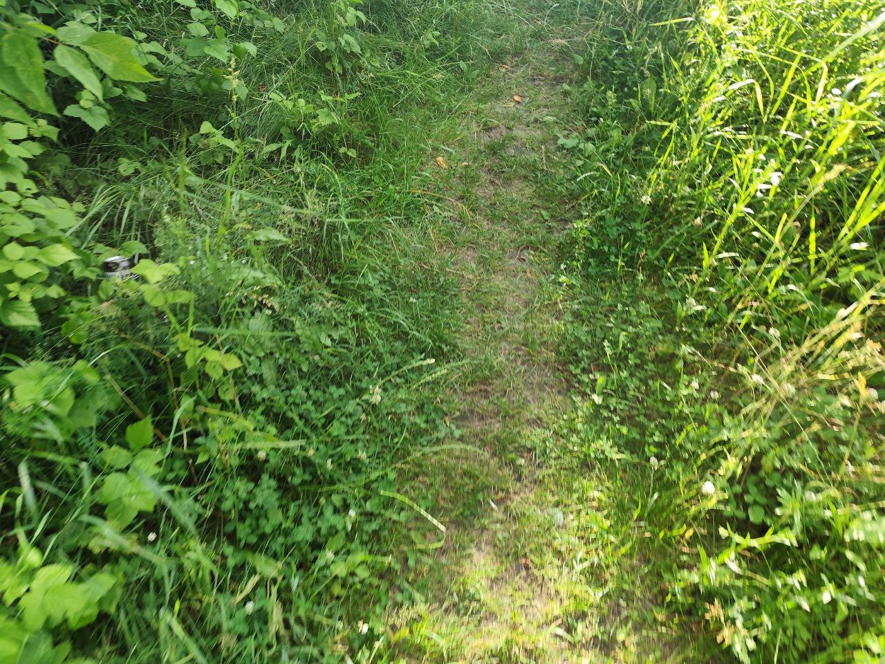 VpCdSfnr6Jzse7YyPcCNHpyg0MIKHO1W.jpg?_=1752756770