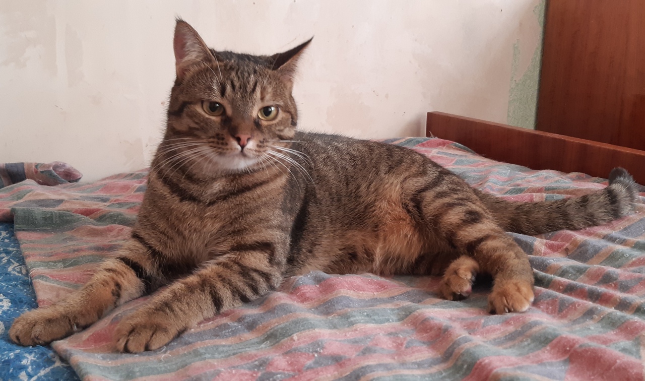 aooJAQBY8BIUlQ4etA0XRjelwNt3c0Nn.jpg?_=1644335910