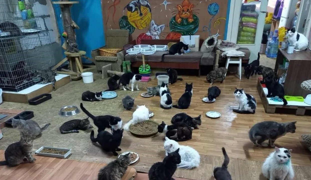 cn4x9MzM2FxzxlT6UCJr4ozF0sdyl1u2.jpg?_=1709731844