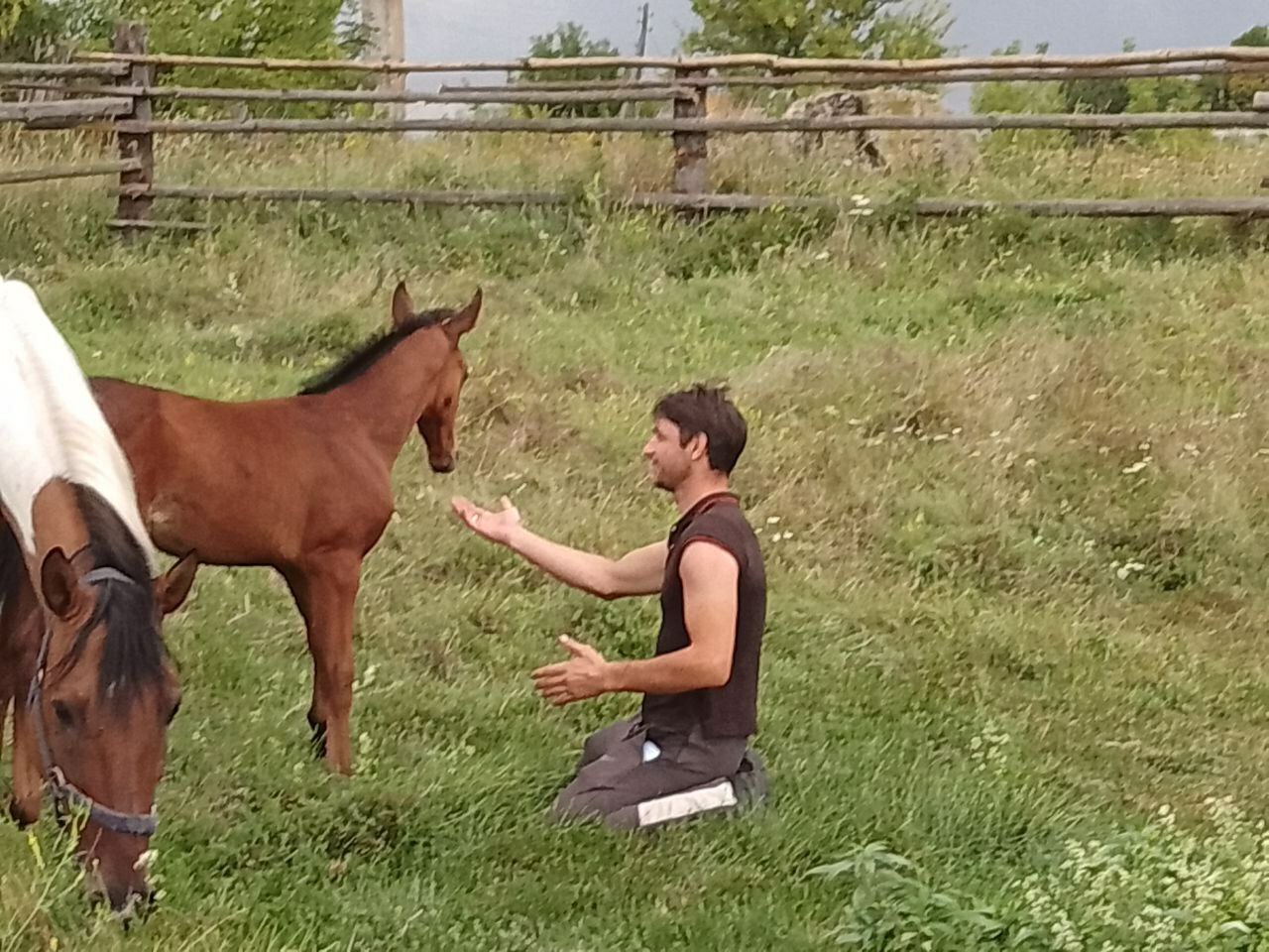 e2qdynDUdouUMuKb0XNIRVjWdfWFgjpe.jpg?_=1718045790