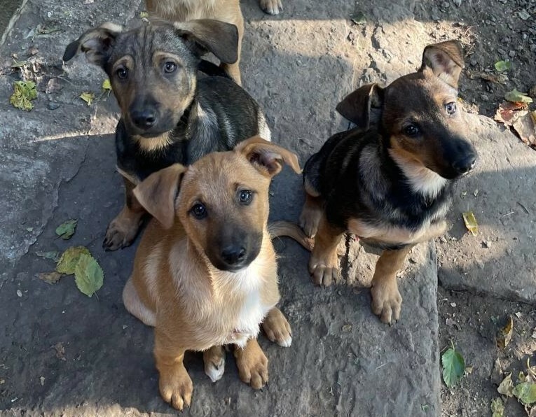 esnCXpDO8lZgtJUffIKlibhnWm1gbe3T.jpg?_=1707319193