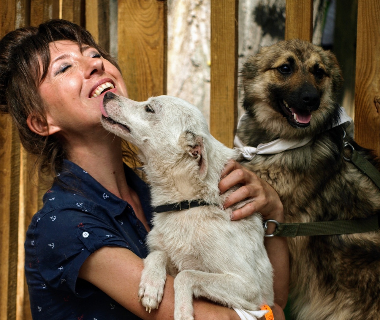 evSY84xwOsn2pLEzumT8GI2Qp4XBcyLN.jpg?_=1