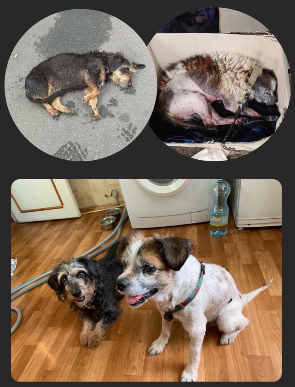 iApqTiikIxgR7EtGhkjcC48VBun5Gk0o.jpg?_=1719224795