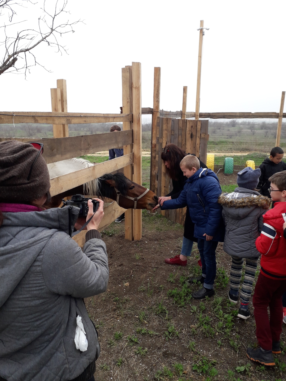 mI8ga8x9e9uZldydrsMza5g4UF0aSFqq.jpg?_=1