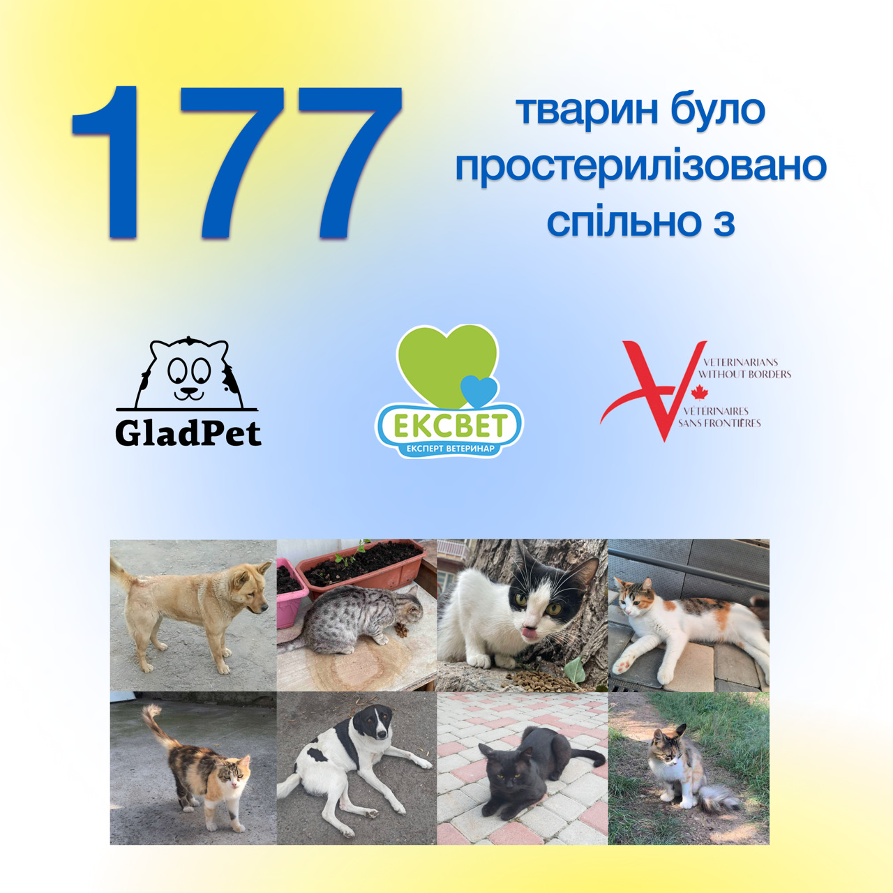 o162L7rLJgtZrezivwkpR7Tz6Wonv5mA.jpg?_=1692351311