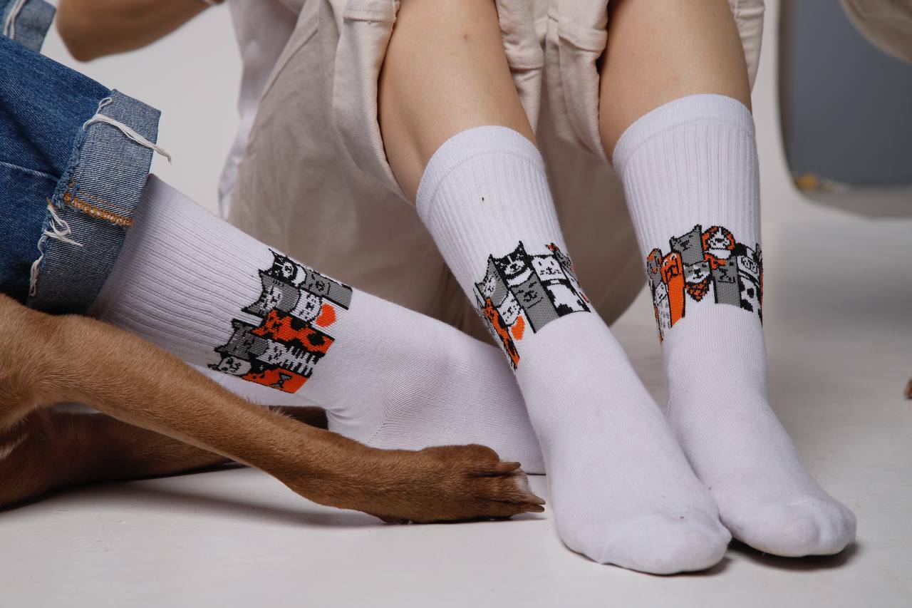 pJuFz9N0GQPnrcMzq6kqwVviy4Zrtle9.jpg?_=1709731568