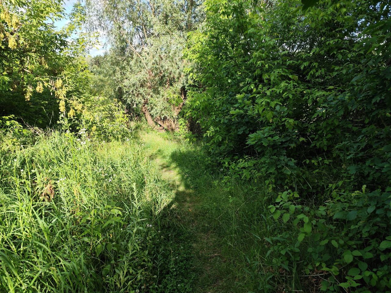 r4eklFMdo41YQBaKZqUTF2HMxcgIdj1W.jpg?_=1752756766