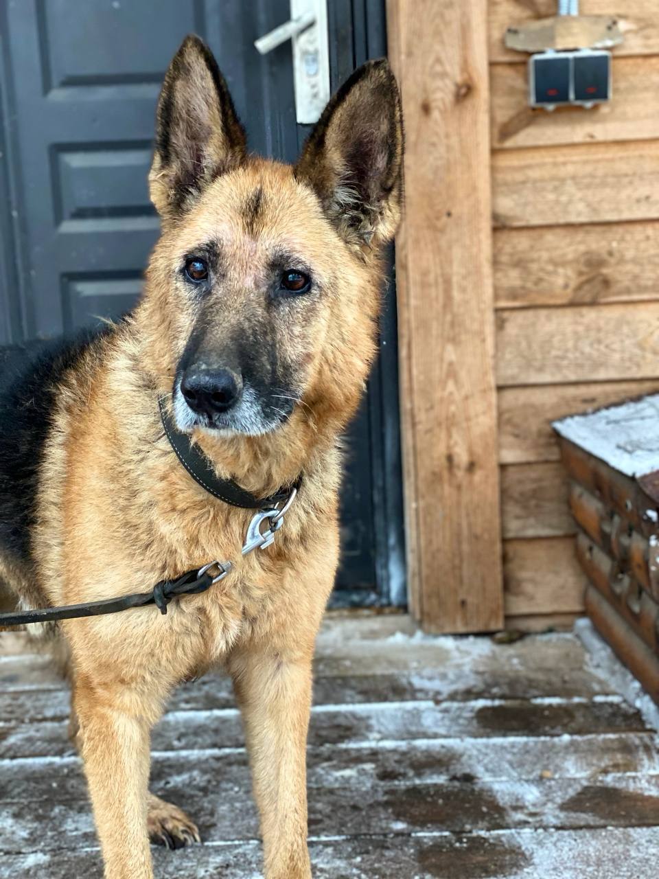 s6wdH72Thin0uYIg80CDx2zUGS1GF980.jpg?_=1740130252