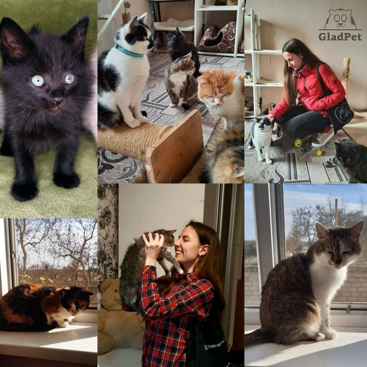 yr08YCDg5i8AUZTNur39ppkmrqtP2aO4.jpg?_=1635860876