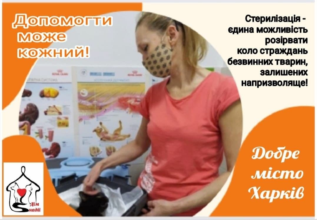 zc8tTI27GhdUyOiDdXSZKADQT6VXWoqN.jpg?_=1643815034