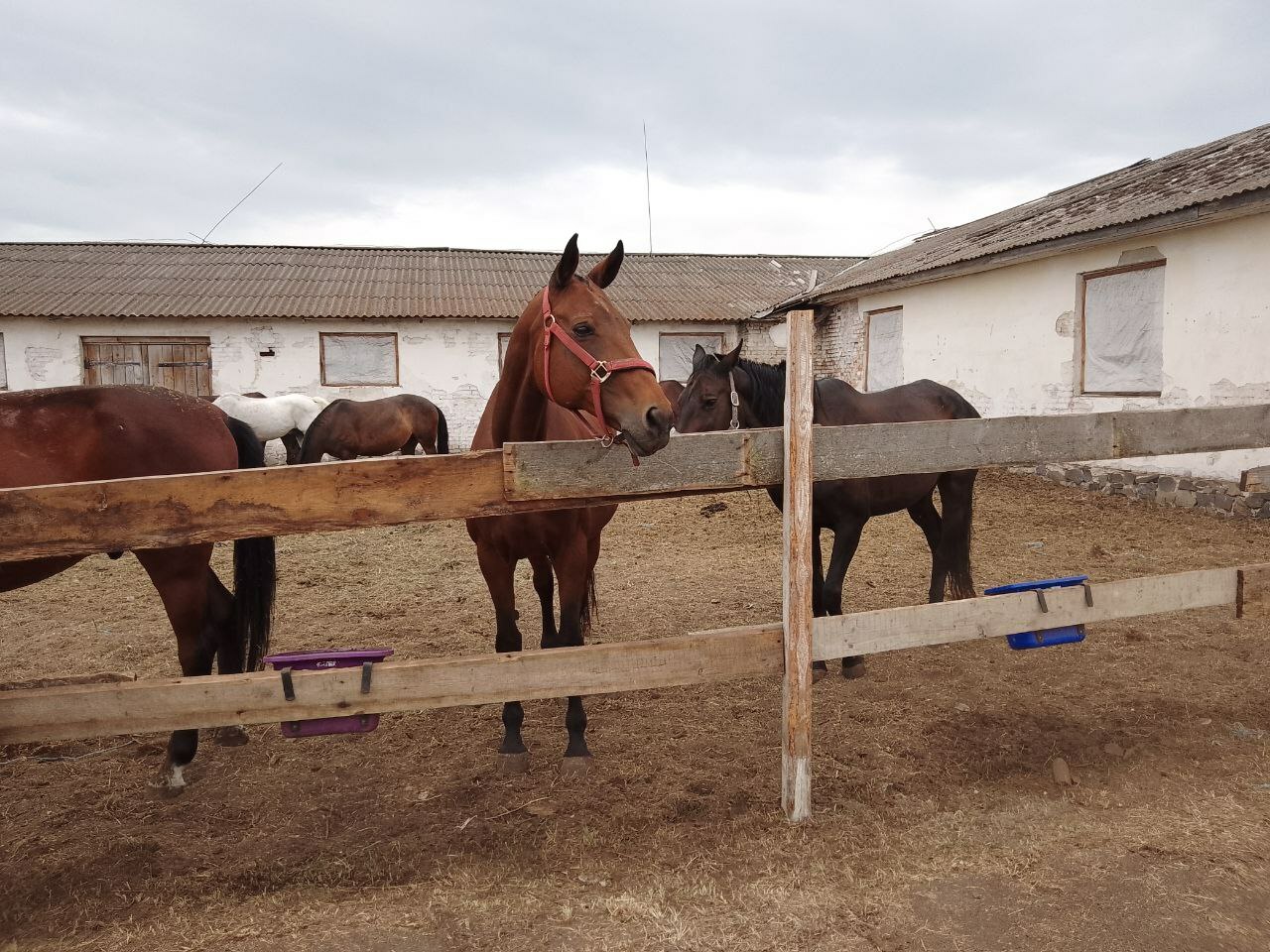 zd2uNTuyUQkVIUgrXkT24oQ0AgavRFvv.jpg?_=1718031393